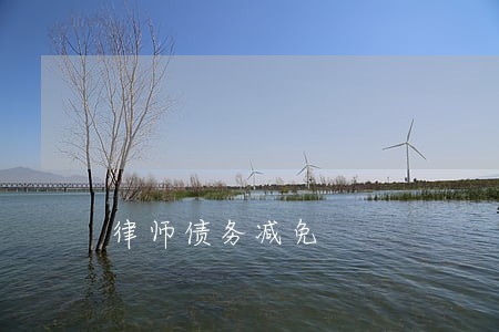 律师债务减免 律师债务减免