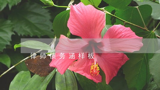 律师债务涵样板 律师债务涵样板