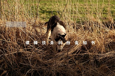 律师债务纠纷告知书 律师债务纠纷告知书