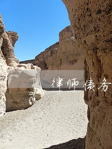律师债务纠纷咨询