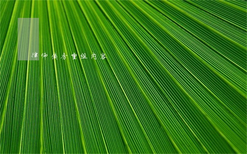 律师债务重组内容 律师债务重组内容