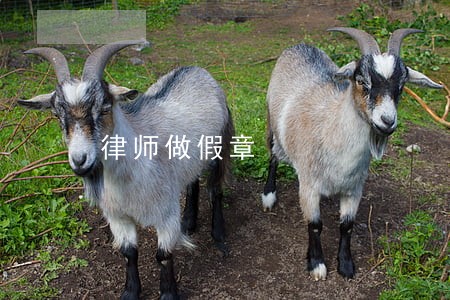 律师做假章