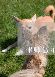 律师做承诺的规定