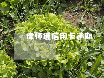 律师催信用卡逾期