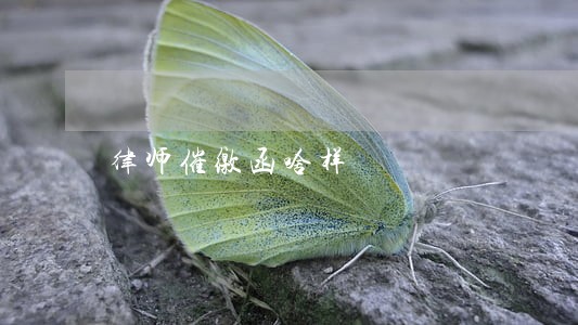 律师催缴函啥样 律师催缴函啥样