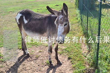 律师催讨债务有什么后果 律师催讨债务有什么后果