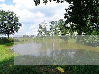 律师免费咨询债务 律师免费咨询债务