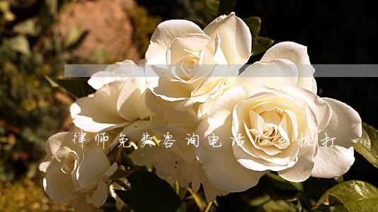 律师免费咨询电话几点拨打 律师免费咨询电话几点拨打