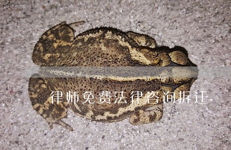 律师免费法律咨询拆迁 律师免费法律咨询拆迁