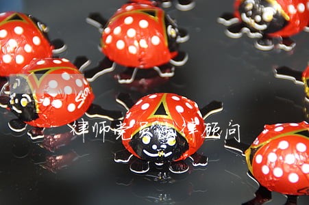 律师党员法律顾问 律师党员法律顾问