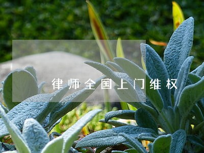 律师全国上门维权 律师全国上门维权