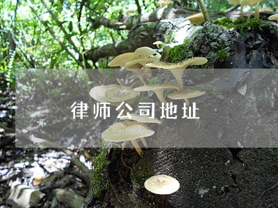 律师公司地址 律师公司地址