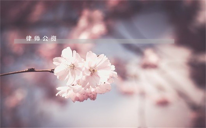 律师公资 律师公资