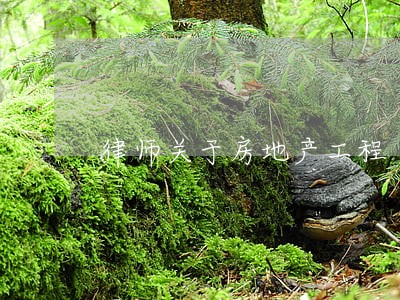 律师关于房地产工程