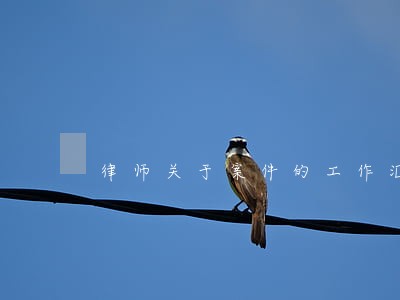 律师关于案件的工作汇报 律师关于案件的工作汇报