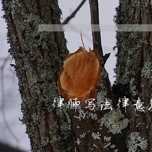 律师写法律意见书有作用吗