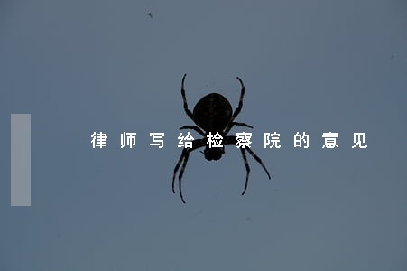 律师写给检察院的意见 律师写给检察院的意见