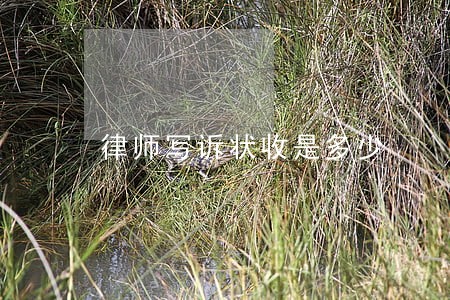 律师写诉状收是多少