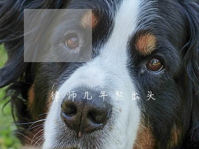 律师几年熬出头 律师几年熬出头