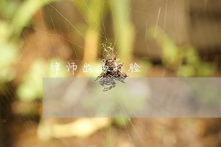律师出场打脸 律师出场打脸