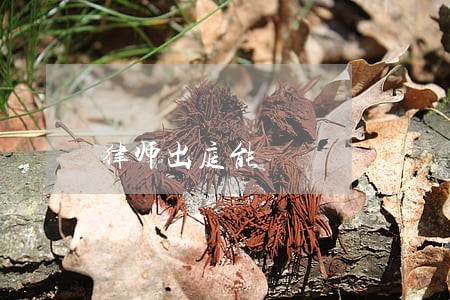 律师出庭能 律师出庭能