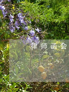 律师函会寄吗 律师函会寄吗