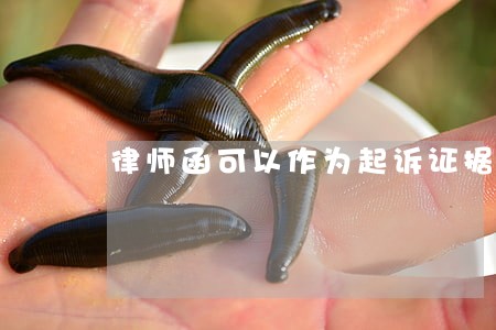 律师函可以作为起诉证据提交吗 律师函可以作为起诉证据提交吗