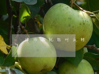 律师函就能叫反转
