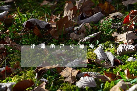 律师函已经邮寄到我这边了 律师函已经邮寄到我这边了