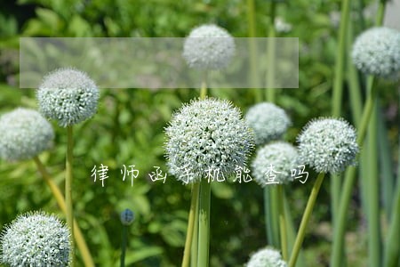 律师函手机能查吗 律师函手机能查吗