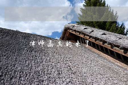 律师函真的来了 律师函真的来了