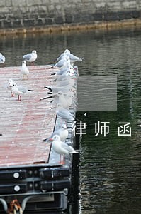 律师函能查阅房产证吗 律师函能查阅房产证吗