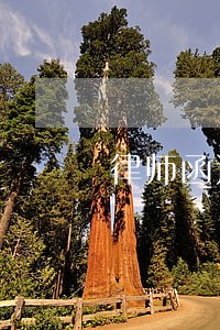 律师函还是传票