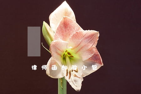 律师函邮政小包 律师函邮政小包