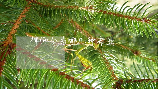 律师分为哪几种专业 律师分为哪几种专业