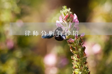 律师分析有妙招 律师分析有妙招