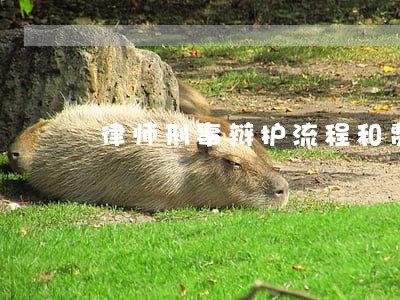 律师刑事辩护流程和费用 律师刑事辩护流程和费用
