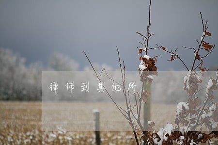 律师到其他所 律师到其他所