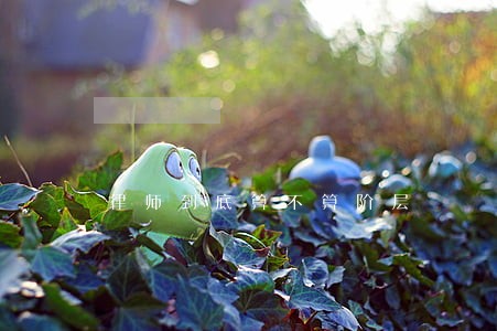 律师到底算不算阶层 律师到底算不算阶层