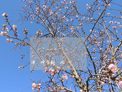 律师到此 律师到此