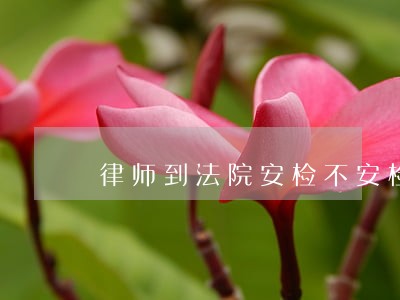 律师到法院安检不安检