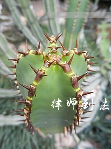 律师到法院找谁阅卷 律师到法院找谁阅卷
