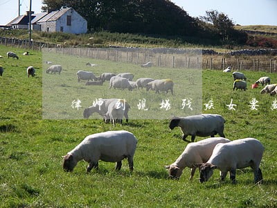 律师到现场残疾女要离婚 律师到现场残疾女要离婚