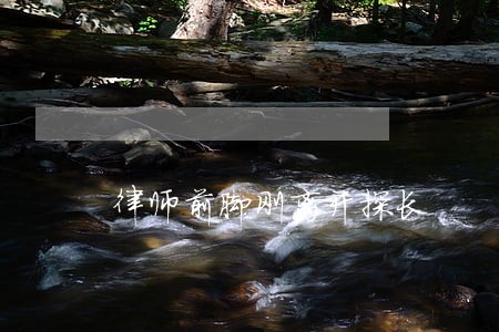 律师前脚刚离开探长