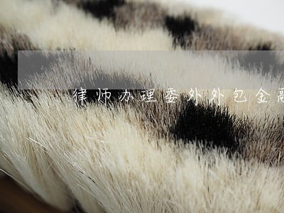 律师办理委外外包金融诉讼工作 律师办理委外外包金融诉讼工作