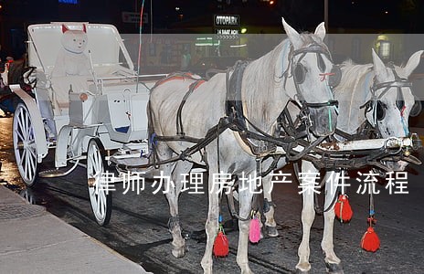 律师办理房地产案件流程