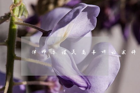 律师办理民商事诉讼案件操作指引 律师办理民商事诉讼案件操作指引