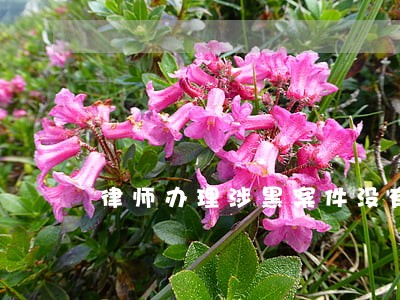 律师办理涉黑案件没有报备 律师办理涉黑案件没有报备