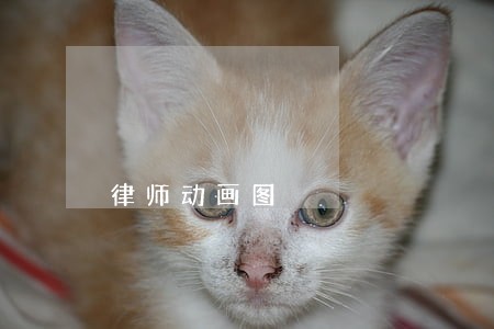 律师动画图 律师动画图