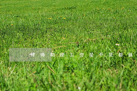 律师助理工资是不是都很低
